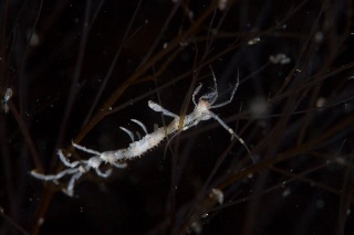 「無題」のサムネイル画像