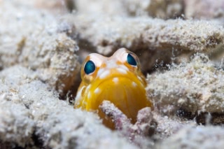 「無題」のサムネイル画像