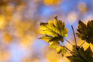 「無題」のサムネイル画像