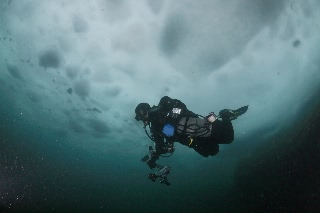 「無題」のサムネイル画像