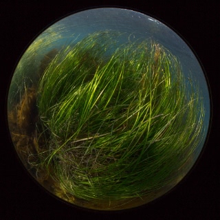 「無題」のサムネイル画像