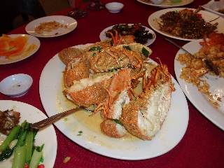 「セミエビ」のサムネイル画像