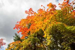 「無題」のサムネイル画像