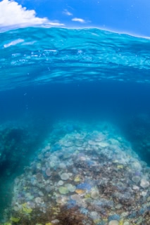 「無題」のサムネイル画像