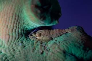 「無題」のサムネイル画像