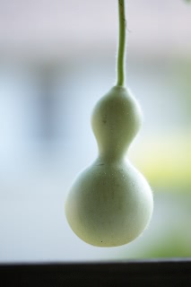 「千成瓢箪」のサムネイル画像