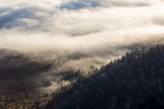 「無題」のサムネイル画像