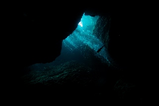 「無題」のサムネイル画像