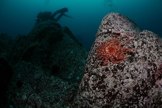 「無題」のサムネイル画像