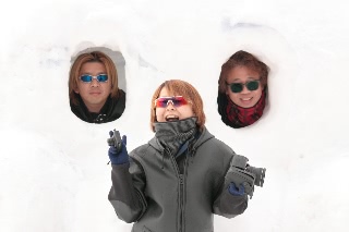 「無題」のサムネイル画像