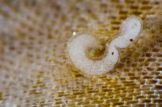 「無題」のサムネイル画像