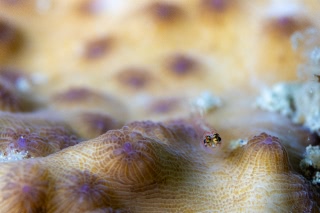 「無題」のサムネイル画像