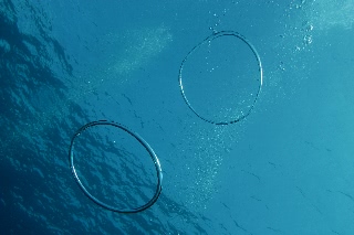 「バブルリング」のサムネイル画像
