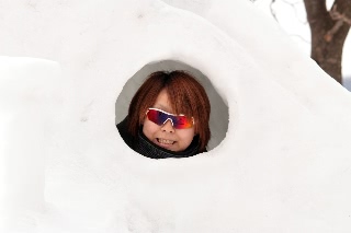 「無題」のサムネイル画像