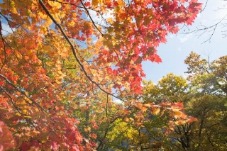 「無題」のサムネイル画像