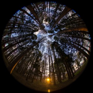 「無題」のサムネイル画像