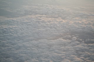 「無題」のサムネイル画像