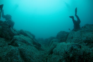 「無題」のサムネイル画像