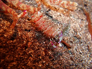 「無題」のサムネイル画像