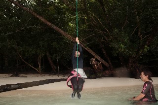 「無題」のサムネイル画像