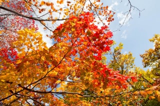 「無題」のサムネイル画像