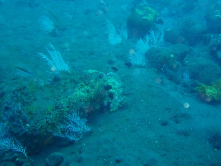 「無題」のサムネイル画像