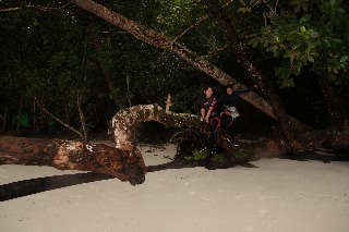 「無題」のサムネイル画像