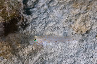 「無題」のサムネイル画像