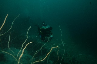 「無題」のサムネイル画像