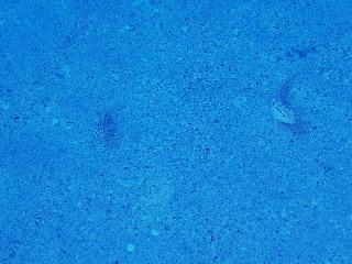 「無題」のサムネイル画像