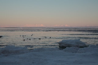 「無題」のサムネイル画像