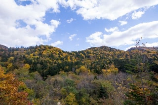「無題」のサムネイル画像