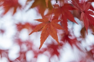 「無題」のサムネイル画像