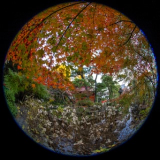 「無題」のサムネイル画像