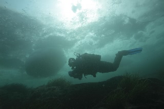 「無題」のサムネイル画像