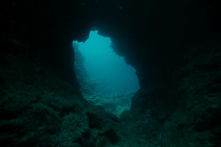「無題」のサムネイル画像