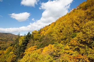 「無題」のサムネイル画像