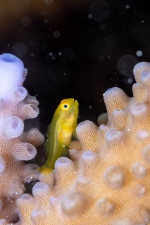 「無題」のサムネイル画像