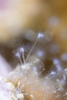 「無題」のサムネイル画像