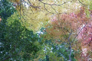 「無題」のサムネイル画像