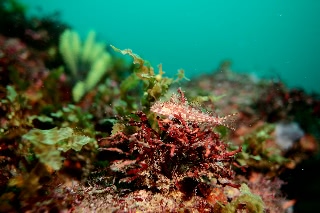 「無題」のサムネイル画像