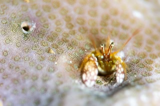 「無題」のサムネイル画像