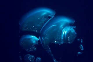 「無題」のサムネイル画像