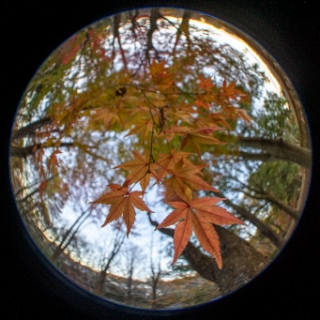 「無題」のサムネイル画像