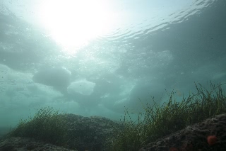 「無題」のサムネイル画像