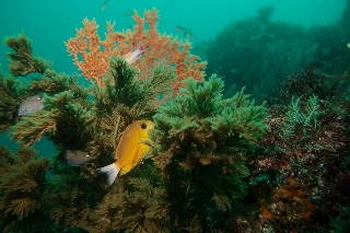 「無題」のサムネイル画像