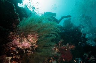 「無題」のサムネイル画像