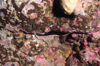 「無題」のサムネイル画像