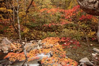 「無題」のサムネイル画像