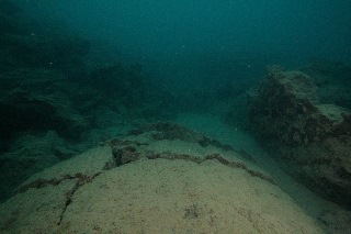 「無題」のサムネイル画像